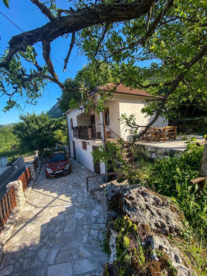 Apartman Popovic *